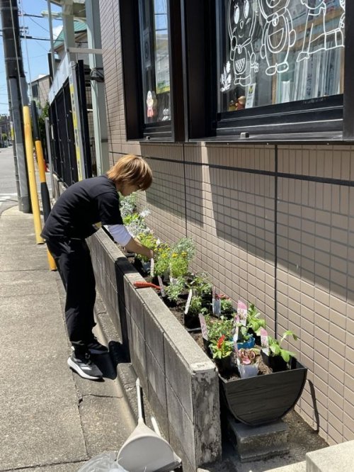 やっとこ春夏仕様の花に植え替えの巻